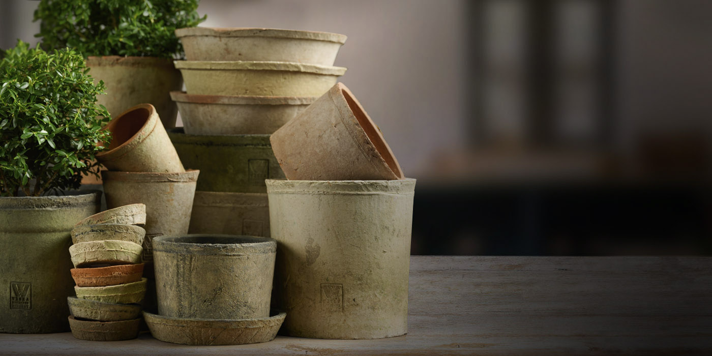 Assorted Wicka Terracotta Pots